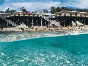Coogee Attraction