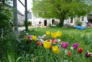 Loire Valley Bed & Breakfast Accommodation