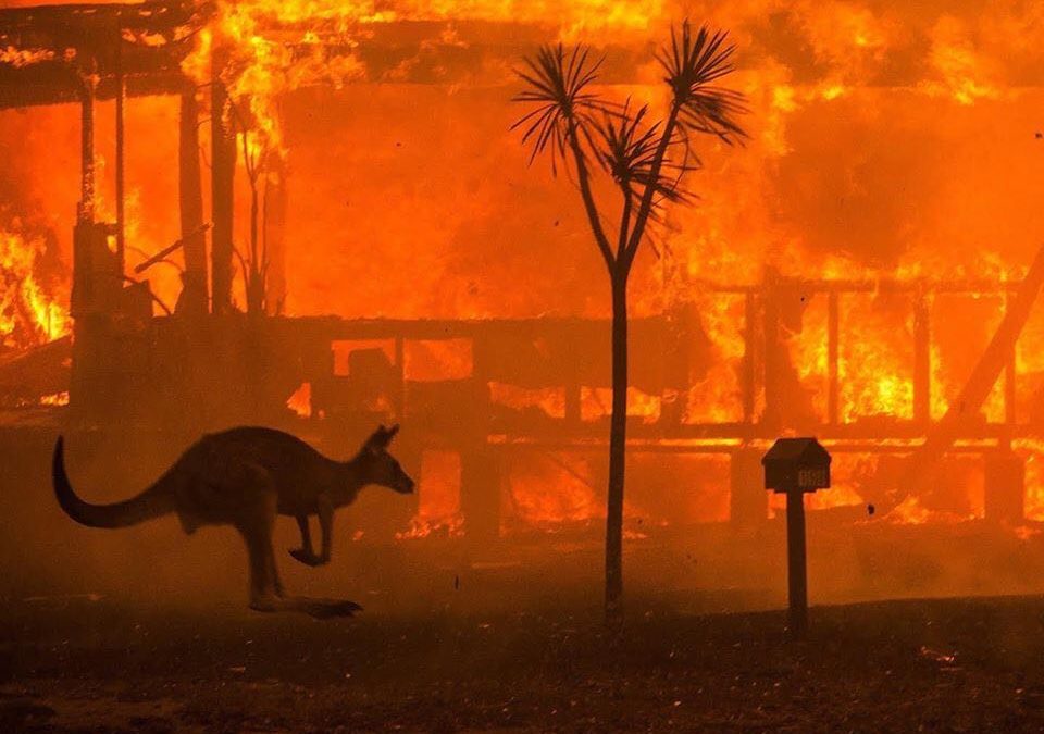 Australian Bushfires The Worst In History