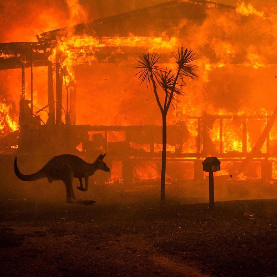 Australian Bushfires The Worst In History: Climate Change at Work