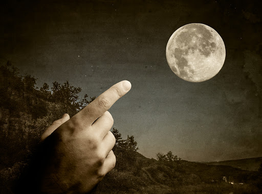 psychonautics keyboard warriors pointing at the moon