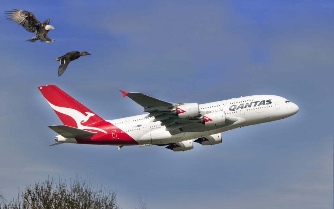 Qantas Told To Help Sell Vaccination